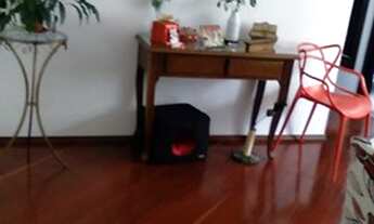 Imagem 7: Apartamento para venda tem 55 metros quadrados com 2 quartos