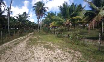 Imagem 4: Fazenda/Sítio/Chácara para venda tem 50000 metros quadrados em Zona Rural - Conde - BA