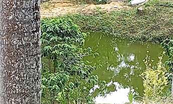 Imagem 2: Vendo Chácara Domingos Martins (27) 99508 2284 Whatsapp