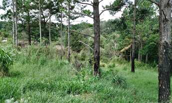 Imagem 7: COD.5731 - IBIÚNA, EXCELENTE TERRENO PARA PONTO COMERCIAL!