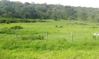 Imagem 5: Oportunidade! Vendo excelente fazenda com 78 hectares a 10 km Planaltina DF
