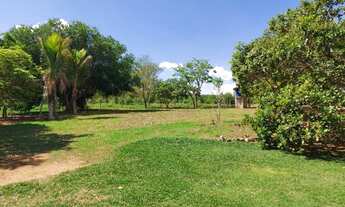 Imagem 5: Sitio com 3 Hectares . Em Alberto Isaacson
