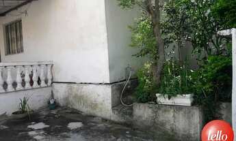 Imagem 3: São Paulo - Terreno Padrão - Tucuruvi