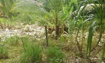 Imagem 3: Lote Terreno / lote com venda por R$35.000