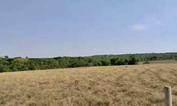 Imagem 4: Fazenda Dupla Aptidão Município de Montes Claros Goiás ! 30 alqueires !