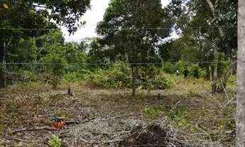 Imagem 5: Lote de 1000m2 em Arraial D?Ajuda