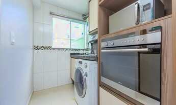 Imagem 7: CURITIBA - Padrão - Xaxim