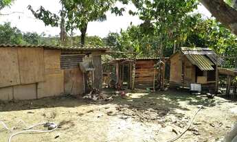 Imagem 2: Sítio no Rio preto da eva