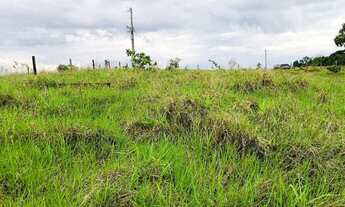 Imagem 4: Chácara de oportunidade 5 mil metros