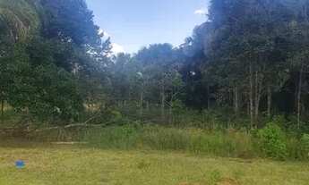 Imagem 3: Chácara em Itaberaí