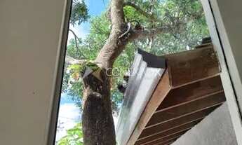 Imagem 7: Chácara - Recanto dos Dourados - Campinas