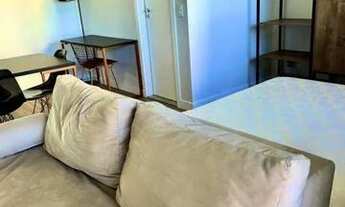 Imagem 6: Ed Freedom Palhano