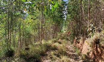 Imagem 5: TERRENO 1.000M² COM ACESSO A RIACHO PELO EMPREENDIMENTO