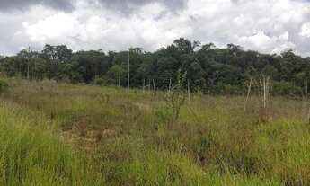 Imagem: Vende-se chácara 2.000m2 Taguatinga Norte