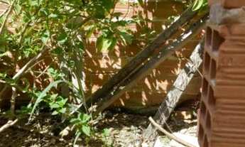 Imagem 6: Terreno Terreno / lote com venda por R$45.000