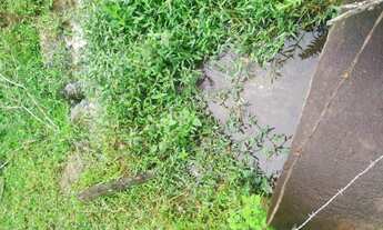 Imagem 2: Fazenda 36 hectares localizada no distrito de Azurita, na cidade de Mateus Leme