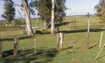 Imagem 5: Sítio.!!! st506