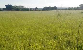 Imagem 4: Oportunidade vendo excelentes chacara no lago oeste 3.5 hectares