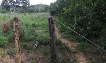 Imagem 7: Fazenda em Lizarda. 5 mil por alqueire