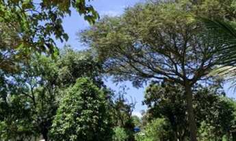 Imagem: Duas chacaras juntas, área total 4,4 ha