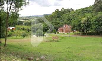 Imagem 6: FLORES DA CUNHA - Chácara - Sete de Setembro