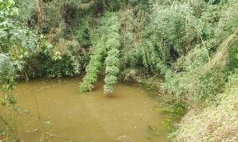 Imagem 3: 2 Hectare em Rio Rufino