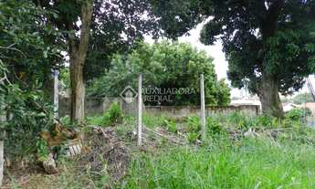 Imagem 6: NOVO HAMBURGO - Terreno Padrão - Ideal