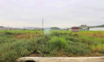 Imagem 3: Terreno no loteamento Avenida das Torres, Gaspar!