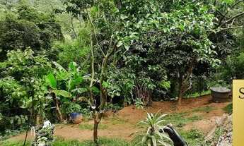 Imagem 6: Chácara com Escritura - Fácil Acesso