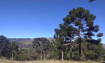 Imagem 2: Terreno/Chácara/Fazenda/Francisco Krtiscka Corretor de imóveis