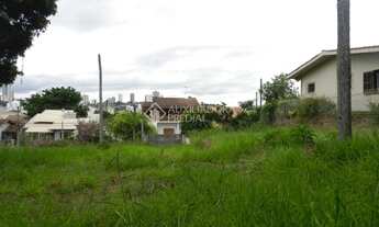 Imagem 7: NOVO HAMBURGO - Terreno Padrão - Ideal