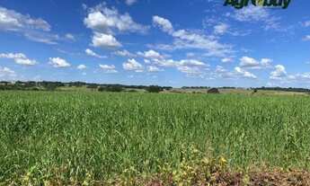 Imagem 7: Fazenda 60 alqueires Professor Jamil