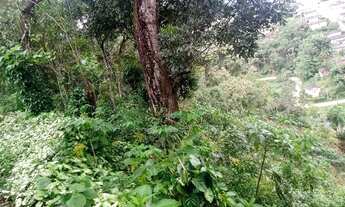 Imagem 4: Iporanga - Casa Padrão - Centro