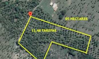 Imagem 2: Fazenda/Sítio/Chácara para venda tem 50000 metros quadrados em Zona Rural - Conde - BA