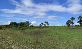 Imagem 3: Vende uma Excelente área rural