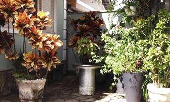 Imagem 2: CASA RESIDENCIAL em SÃO PAULO - SP, VILA ISA