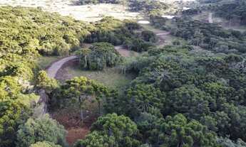 Imagem 7: Terreno de 2 hectare em Urubici