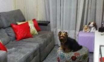 Imagem 5: Cob. Duplex, Mobiliada, 2 Vgas, 2 Slas, 3 Qtos, 2 Stes, Banho, Copa coz, Área, Deps, Churr