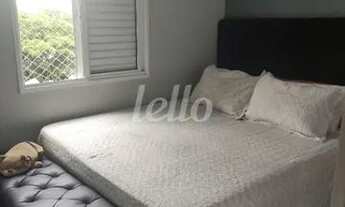 Imagem 7: São Paulo - Apartamento Padrão - Cambuci