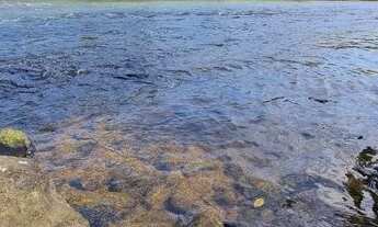 Imagem 3: Terrenos Perto do Rio a 20min de Divinópolis 24.915 + Parcelas