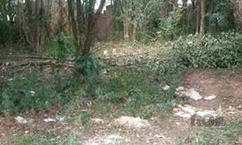 Imagem 3: Terreno em Lomba do Pinheiro