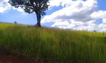 Imagem 5: Lote/Terreno para venda possui 600 metros quadrados em Parque Primavera - Carapicuíba - SP