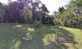 Imagem 5: PALHOçA - Padrão - Pedra Branca