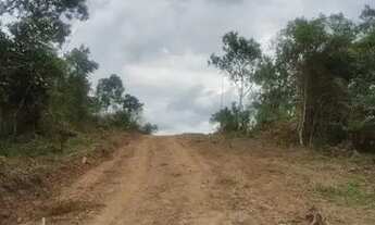 Imagem 7: Lote/Terreno para venda possui 500 metros quadrados em Centro - Santa Isabel - SP