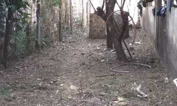 Imagem 4: Vendo ou troco por outra casa em Belém, barcarena,abaetetuba