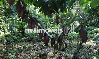 Imagem 5: Venda Fazenda Povoado de Barra Grande Maraú