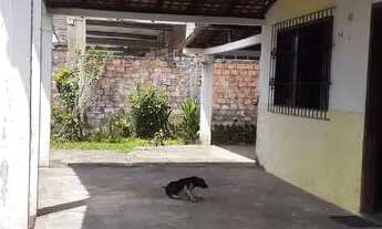 Imagem 3: Conjunto Maguari