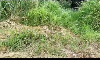 Imagem 3: OPORTUINIDADE LOTE CAMPOS DOURADOS