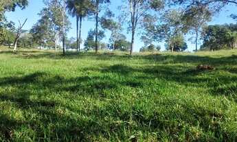 Imagem: Terra de 2 alqueire em professor Jamil