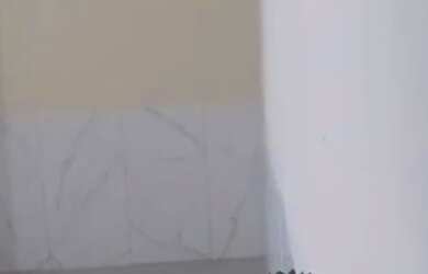 Imagem 9: Quitinete em Caxias